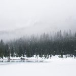 Paysage Neige Froid