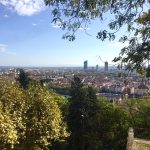 Vue de Lyon